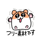 写真撮りに行くハムスター（個別スタンプ：9）