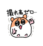 写真撮りに行くハムスター（個別スタンプ：12）