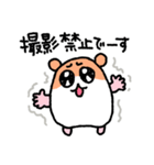 写真撮りに行くハムスター（個別スタンプ：17）
