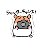 写真撮りに行くハムスター（個別スタンプ：22）