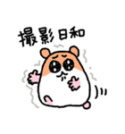 写真撮りに行くハムスター（個別スタンプ：24）
