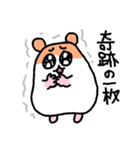 写真撮りに行くハムスター（個別スタンプ：36）