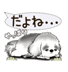 B＆W シーズー犬 2025 「犬の気持ち」（個別スタンプ：3）