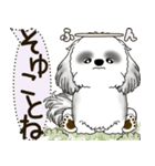 B＆W シーズー犬 2025 「犬の気持ち」（個別スタンプ：4）