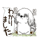 B＆W シーズー犬 2025 「犬の気持ち」（個別スタンプ：5）