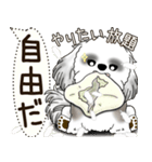 B＆W シーズー犬 2025 「犬の気持ち」（個別スタンプ：9）
