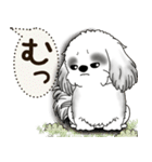 B＆W シーズー犬 2025 「犬の気持ち」（個別スタンプ：10）