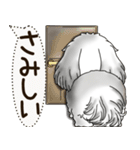 B＆W シーズー犬 2025 「犬の気持ち」（個別スタンプ：12）