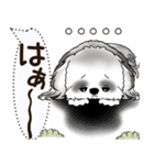 B＆W シーズー犬 2025 「犬の気持ち」（個別スタンプ：14）