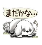 B＆W シーズー犬 2025 「犬の気持ち」（個別スタンプ：20）