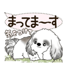 B＆W シーズー犬 2025 「犬の気持ち」（個別スタンプ：22）
