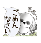 B＆W シーズー犬 2025 「犬の気持ち」（個別スタンプ：23）