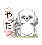 B＆W シーズー犬 2025 「犬の気持ち」（個別スタンプ：25）