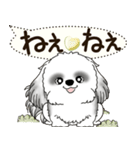 B＆W シーズー犬 2025 「犬の気持ち」（個別スタンプ：26）