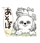 B＆W シーズー犬 2025 「犬の気持ち」（個別スタンプ：27）