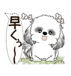 B＆W シーズー犬 2025 「犬の気持ち」（個別スタンプ：28）