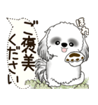 B＆W シーズー犬 2025 「犬の気持ち」（個別スタンプ：31）