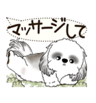 B＆W シーズー犬 2025 「犬の気持ち」（個別スタンプ：32）