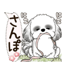 B＆W シーズー犬 2025 「犬の気持ち」（個別スタンプ：33）