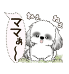 B＆W シーズー犬 2025 「犬の気持ち」（個別スタンプ：35）