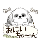 B＆W シーズー犬 2025 「犬の気持ち」（個別スタンプ：39）