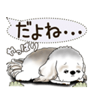 シーズー犬 2025 「犬の気持ち」（個別スタンプ：3）