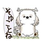 シーズー犬 2025 「犬の気持ち」（個別スタンプ：4）