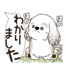 シーズー犬 2025 「犬の気持ち」（個別スタンプ：5）