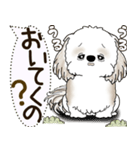 シーズー犬 2025 「犬の気持ち」（個別スタンプ：7）