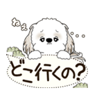 シーズー犬 2025 「犬の気持ち」（個別スタンプ：8）