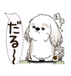 シーズー犬 2025 「犬の気持ち」（個別スタンプ：13）