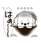 シーズー犬 2025 「犬の気持ち」（個別スタンプ：14）