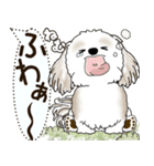 シーズー犬 2025 「犬の気持ち」（個別スタンプ：18）