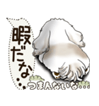 シーズー犬 2025 「犬の気持ち」（個別スタンプ：19）