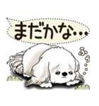 シーズー犬 2025 「犬の気持ち」（個別スタンプ：20）