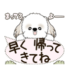 シーズー犬 2025 「犬の気持ち」（個別スタンプ：21）
