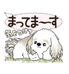 シーズー犬 2025 「犬の気持ち」（個別スタンプ：22）