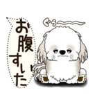 シーズー犬 2025 「犬の気持ち」（個別スタンプ：24）