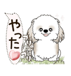 シーズー犬 2025 「犬の気持ち」（個別スタンプ：25）
