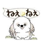 シーズー犬 2025 「犬の気持ち」（個別スタンプ：26）