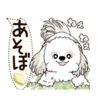 シーズー犬 2025 「犬の気持ち」（個別スタンプ：27）