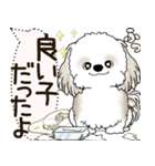 シーズー犬 2025 「犬の気持ち」（個別スタンプ：30）