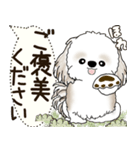シーズー犬 2025 「犬の気持ち」（個別スタンプ：31）