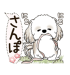 シーズー犬 2025 「犬の気持ち」（個別スタンプ：33）
