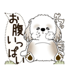 シーズー犬 2025 「犬の気持ち」（個別スタンプ：34）