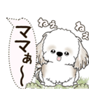 シーズー犬 2025 「犬の気持ち」（個別スタンプ：35）