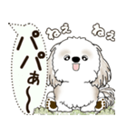 シーズー犬 2025 「犬の気持ち」（個別スタンプ：36）