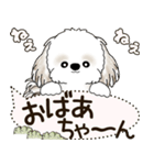 シーズー犬 2025 「犬の気持ち」（個別スタンプ：38）