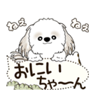 シーズー犬 2025 「犬の気持ち」（個別スタンプ：39）