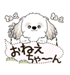シーズー犬 2025 「犬の気持ち」（個別スタンプ：40）